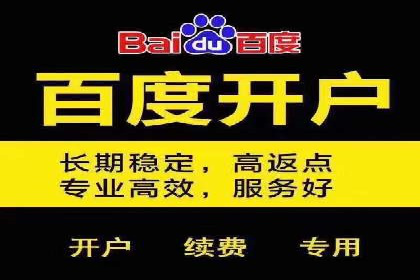 网络推广与竞价广告：双管齐下的策略案例